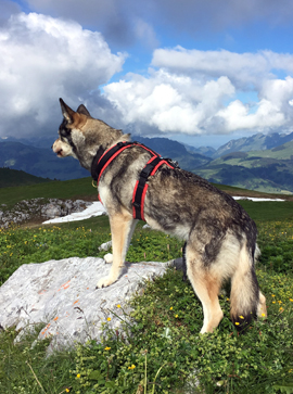 Anny-x FUN Gr&ouml;sse M