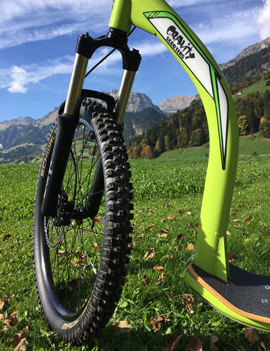 DH Core Dogscooter gr&uuml;n