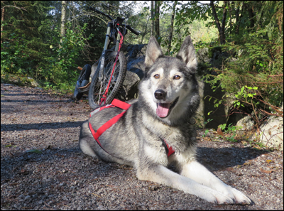FLY - war mit &uuml;ber 13 Jahren noch aktiv