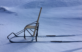Kicksled f&uuml;r 1 bis 2 Hunde