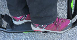 Mezeq new Disk Board