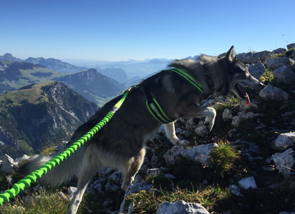 Safety neongelb mit Bungeeleine neongr&uuml;n