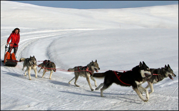 Allround Basic in aktion...